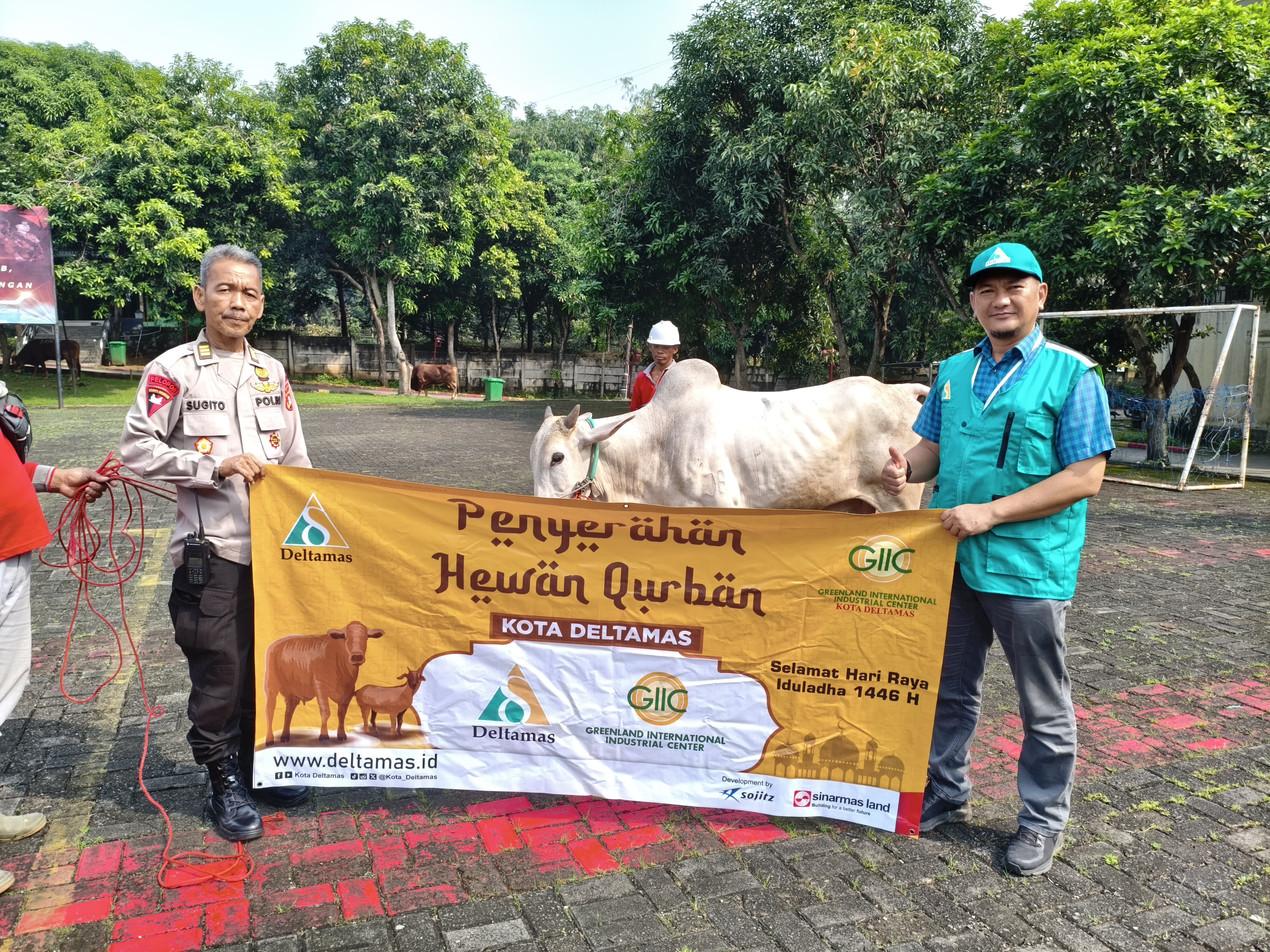 Hewan qurban